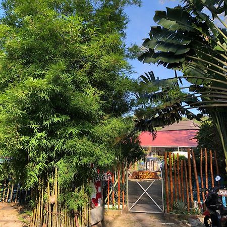 Apartamento Shaka Garden House Langkawi Pantai Cenang  Exterior foto